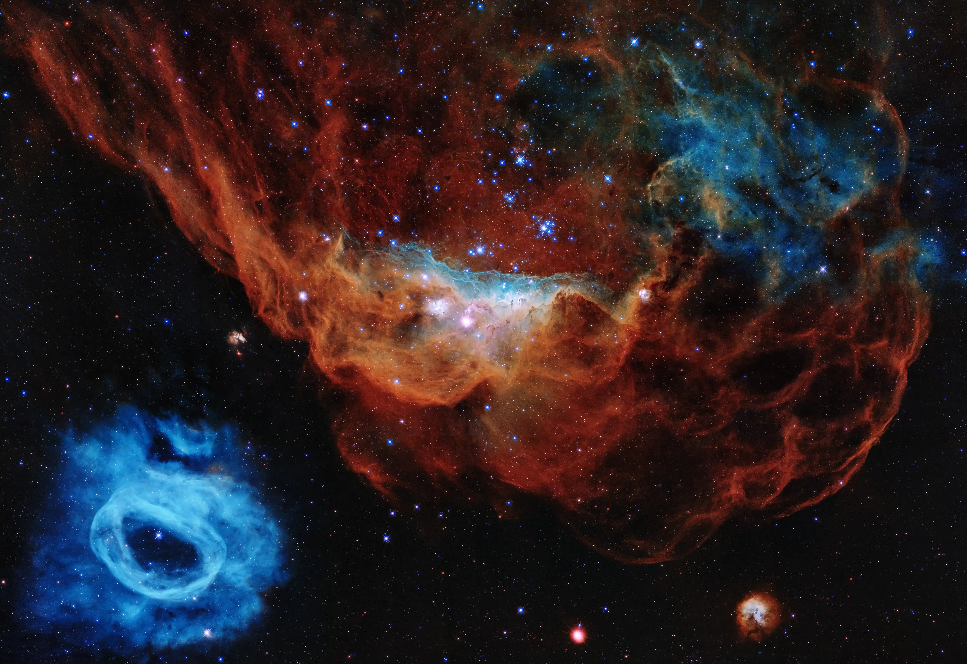 NGC 2014 and NGC 2020